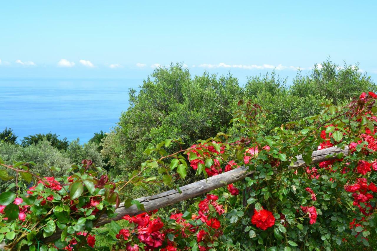 Borgo Rosso Di Sera Resort Сан Лучидо Екстериор снимка