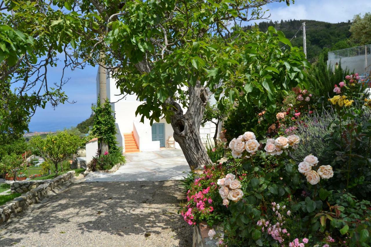 Borgo Rosso Di Sera Resort Сан Лучидо Екстериор снимка